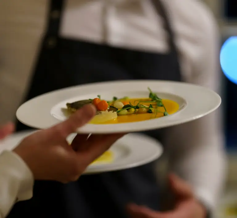 Restaurant service internship in France