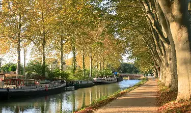 Internship in Toulouse